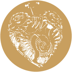 Oaxaca